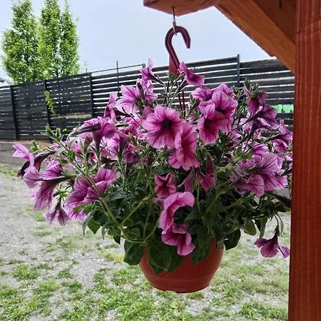 Kucica Za Odmor Trece Nebo * Trsic